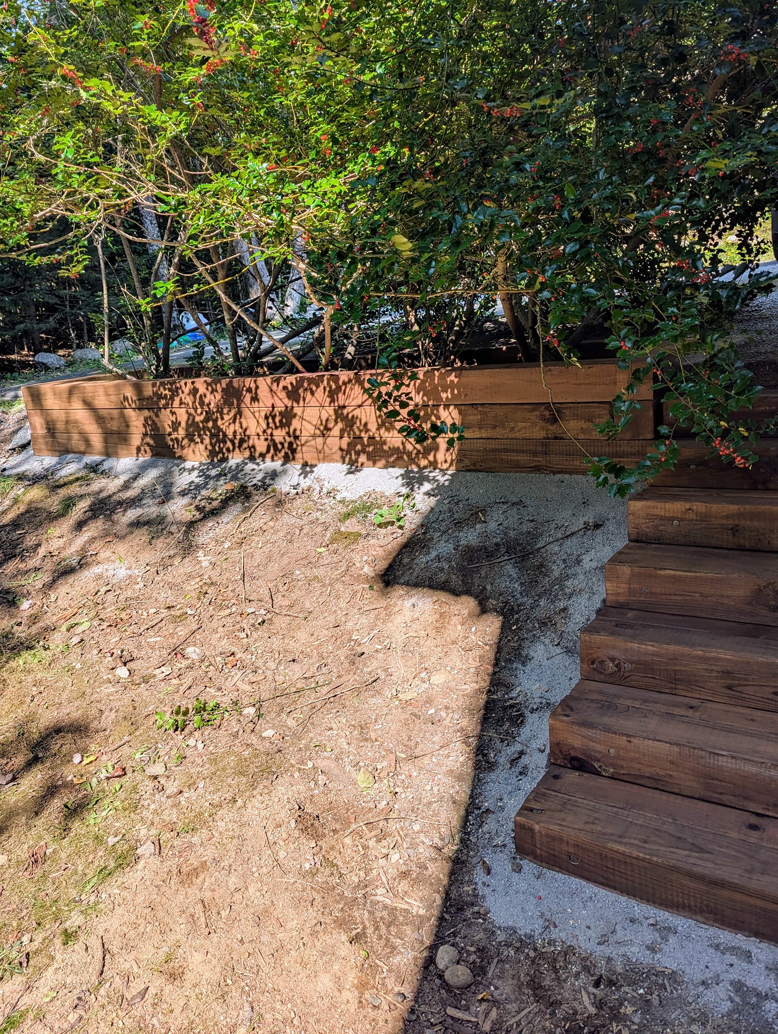 460158507_523063160476176_4877010507713171006_n