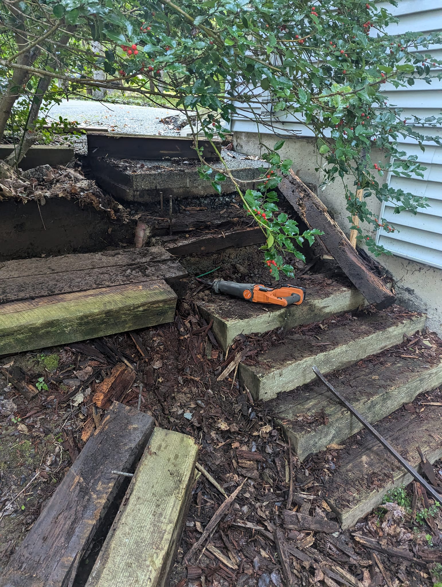 460370452_523062560476236_2537972360374841453_n